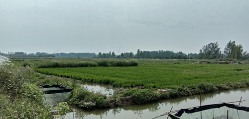 1537236099702654.png 3_副本.png